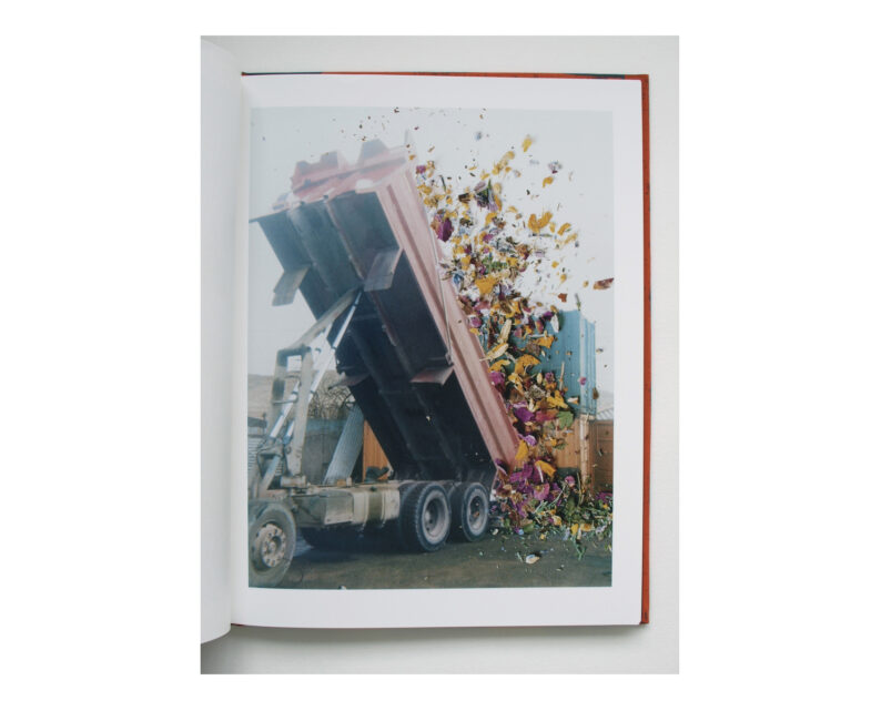 Stephen Gill 'Hackney Flowers' (signed) - Image 2