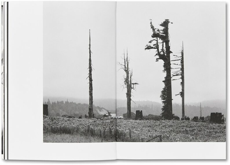 Dorothea Lange - Sam Contis 'Day Sleeper' - Image 11