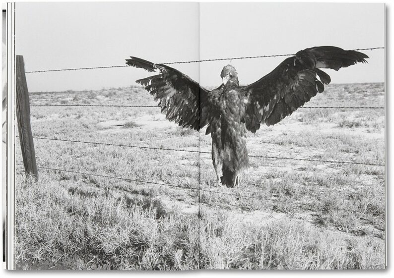 Dorothea Lange - Sam Contis 'Day Sleeper' - Image 14