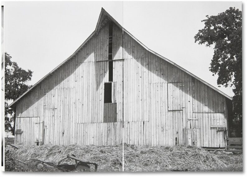 Dorothea Lange - Sam Contis 'Day Sleeper' - Image 5