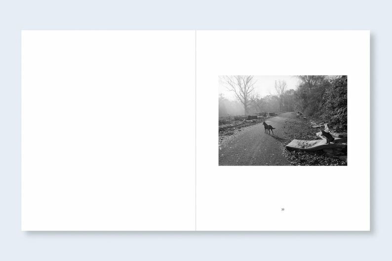 Mark Steinmetz 'South East' - Image 18