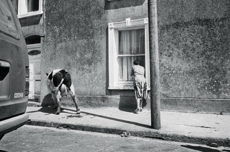 Martin Parr 'From the Pope to a Flat White. Ireland 1979-2019' - Image 7