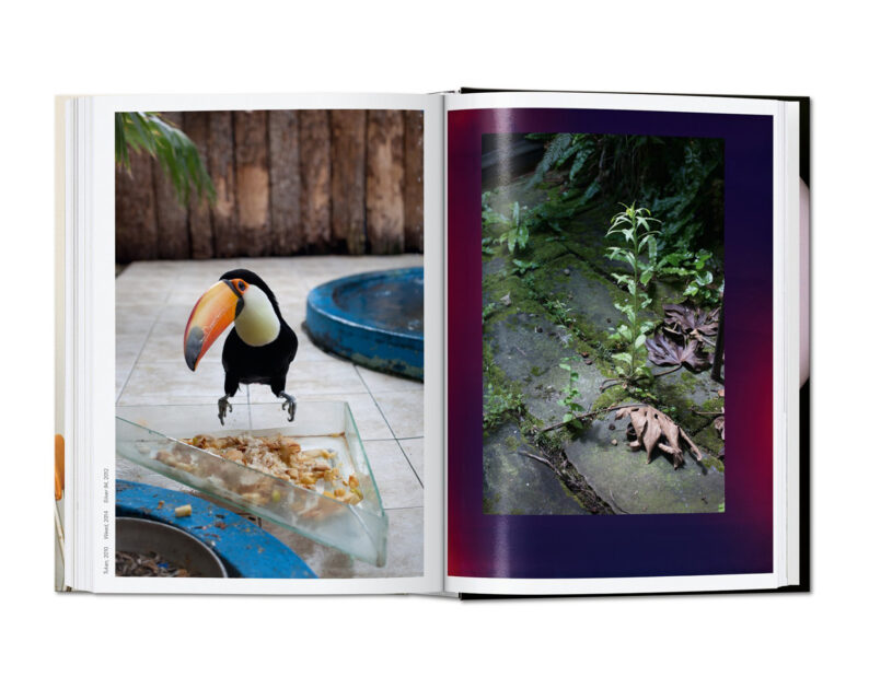 Wolfgang Tillmans. four books. 40th Anniversary Edition. - Image 9