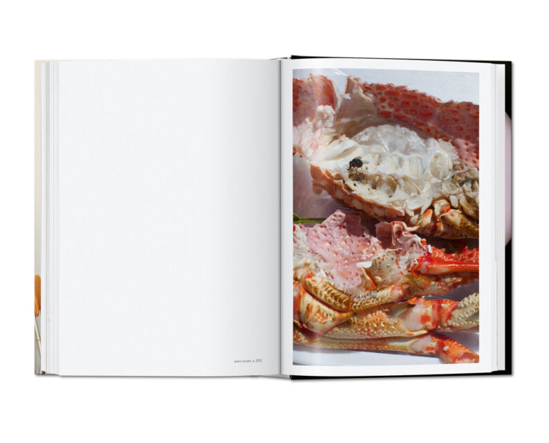 Wolfgang Tillmans. four books. 40th Anniversary Edition. - Image 11