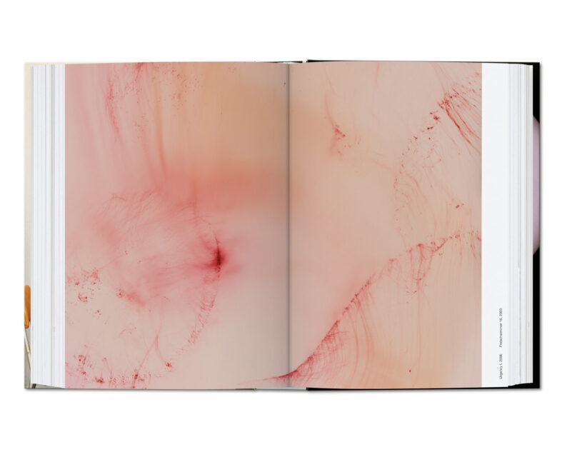 Wolfgang Tillmans. four books. 40th Anniversary Edition. - Image 7