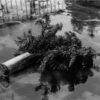 Nobuyoshi Araki  'Sentimental Journey 1971 - 2017' - Image 8