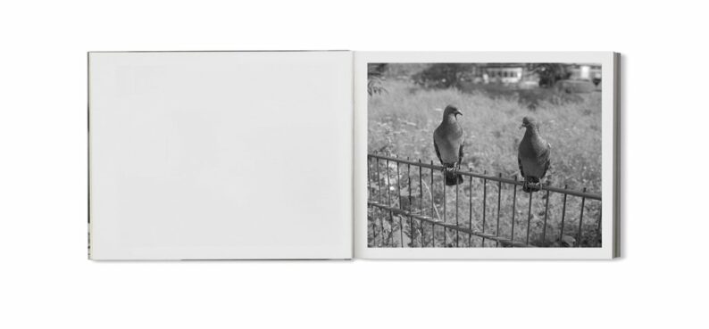 Mark Steinmetz 'Berlin Pictures' - Image 15