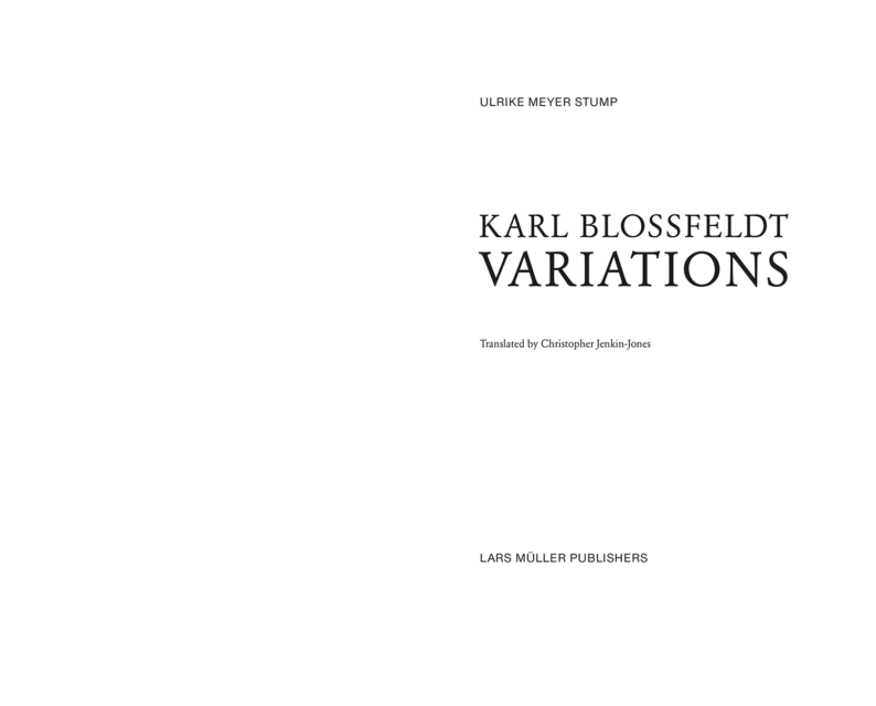 Ulrike Meyer Stump 'Karl Blossfeldt: Variations' - Image 12