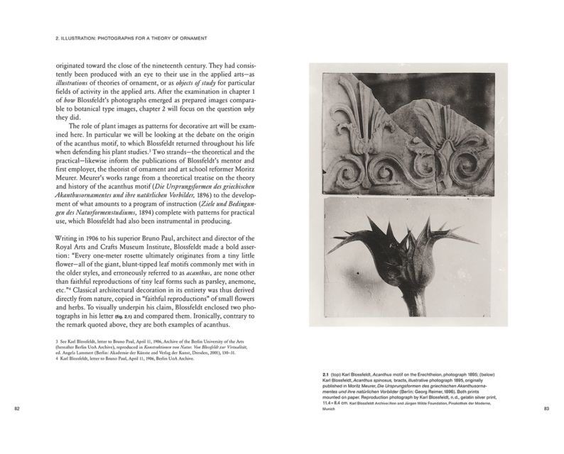 Ulrike Meyer Stump 'Karl Blossfeldt: Variations' - Image 4