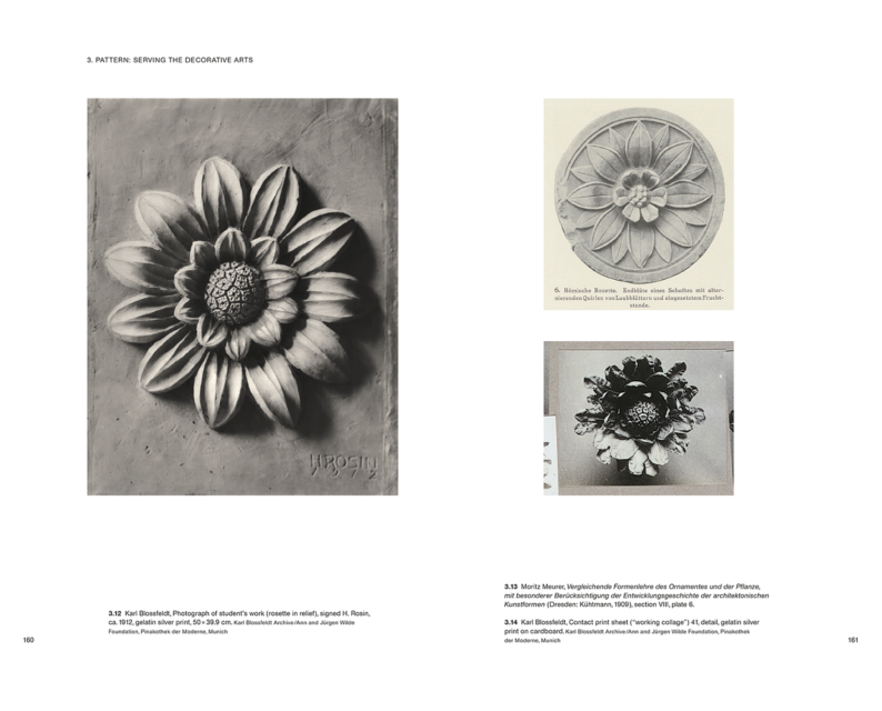 Ulrike Meyer Stump 'Karl Blossfeldt: Variations' - Image 2