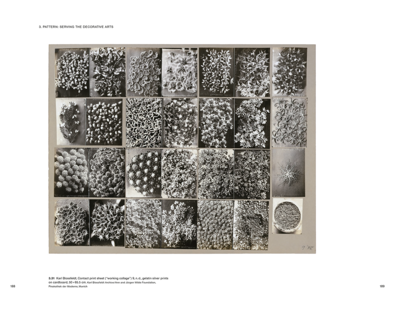 Ulrike Meyer Stump 'Karl Blossfeldt: Variations' - Image 9