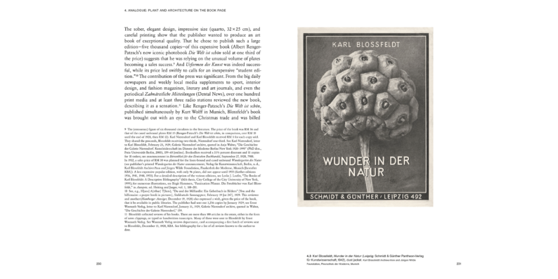 Ulrike Meyer Stump 'Karl Blossfeldt: Variations' - Image 11