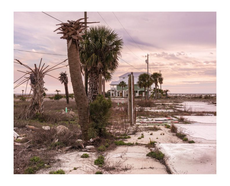 Anastasia Samoylova, Walker Evans 'Floridas' - Image 15