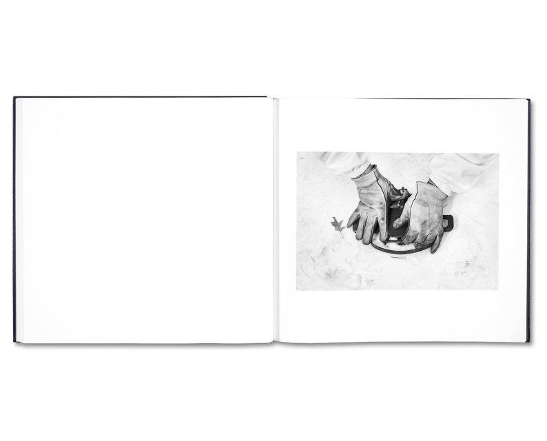 Alessandra Sanguinetti 'Some Say Ice' - Image 12