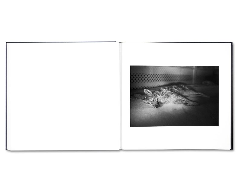 Alessandra Sanguinetti 'Some Say Ice' - Image 16