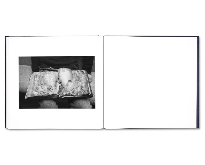 Alessandra Sanguinetti 'Some Say Ice' - Image 27