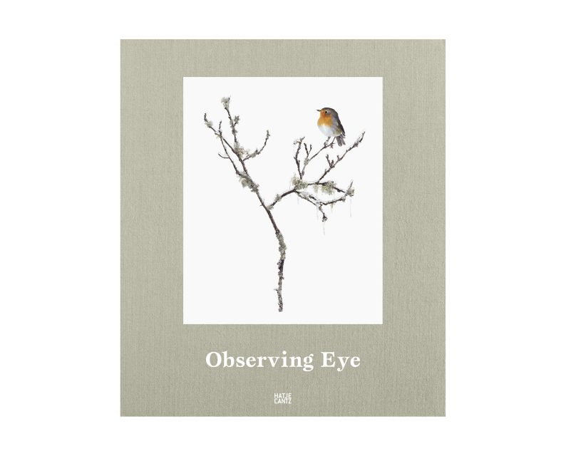 Sanna Kannisto 'Observing Eye'