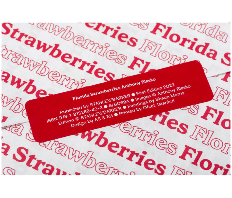 Anthony Blasko 'Florida Strawberries' - Image 7