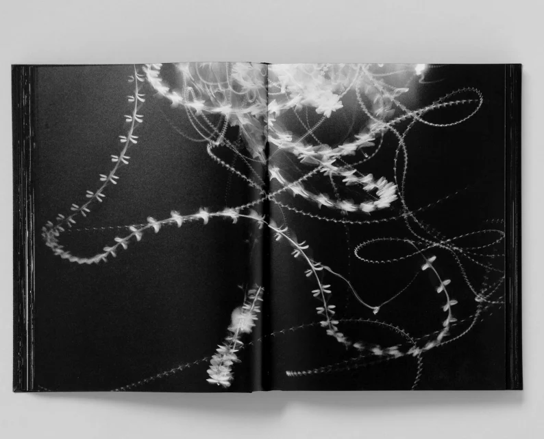 Trent Parke 'Monument' (3rd printing) - Image 8