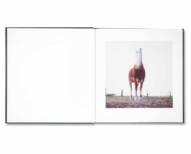 Alessandra Sanguinetti 'On the Sixth Day' (signed) - Image 3