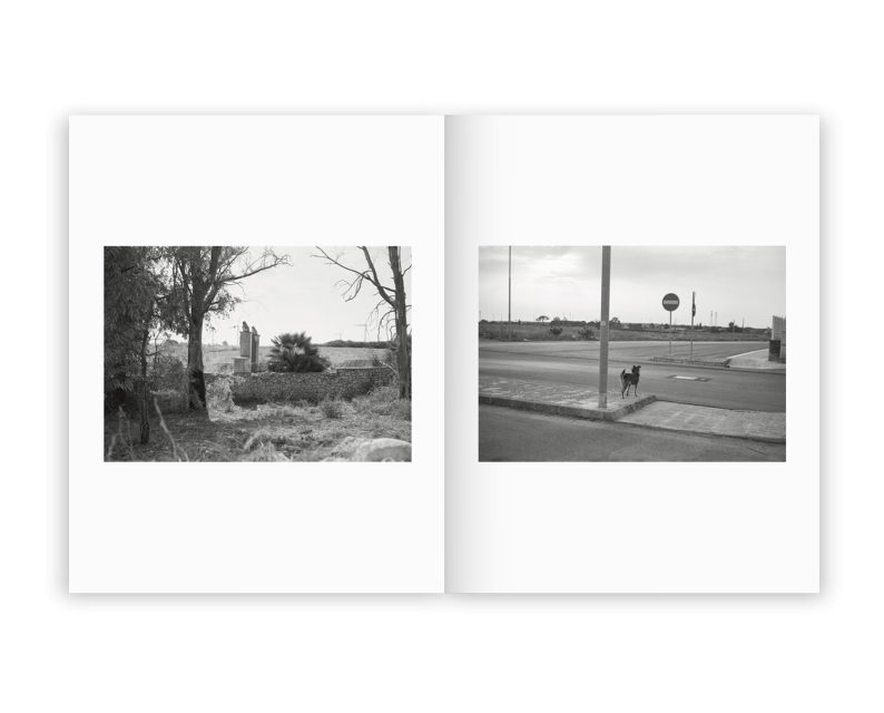 Irina Rozovsky & Mark Steinmetz 'Insieme' - Image 10