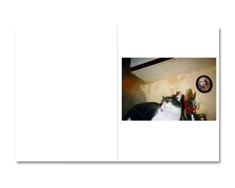 Richard Billingham 'Ray's a Laugh' - Image 10