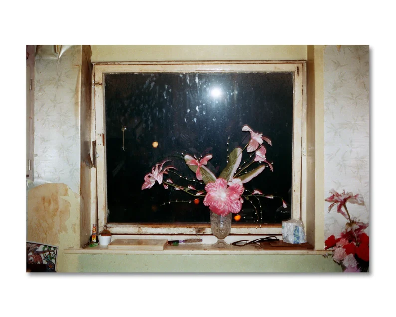 Richard Billingham 'Ray's a Laugh' - Image 12