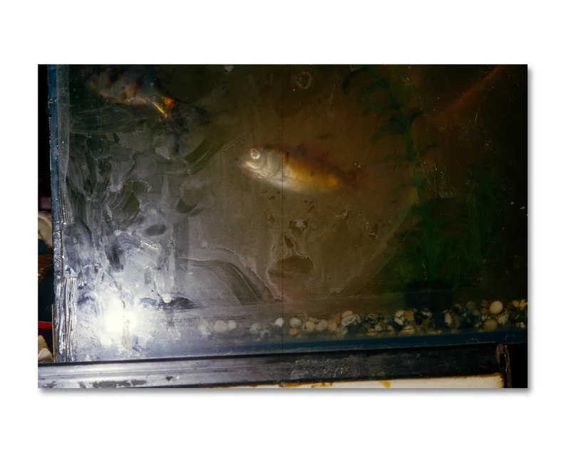 Richard Billingham 'Ray's a Laugh' - Image 28