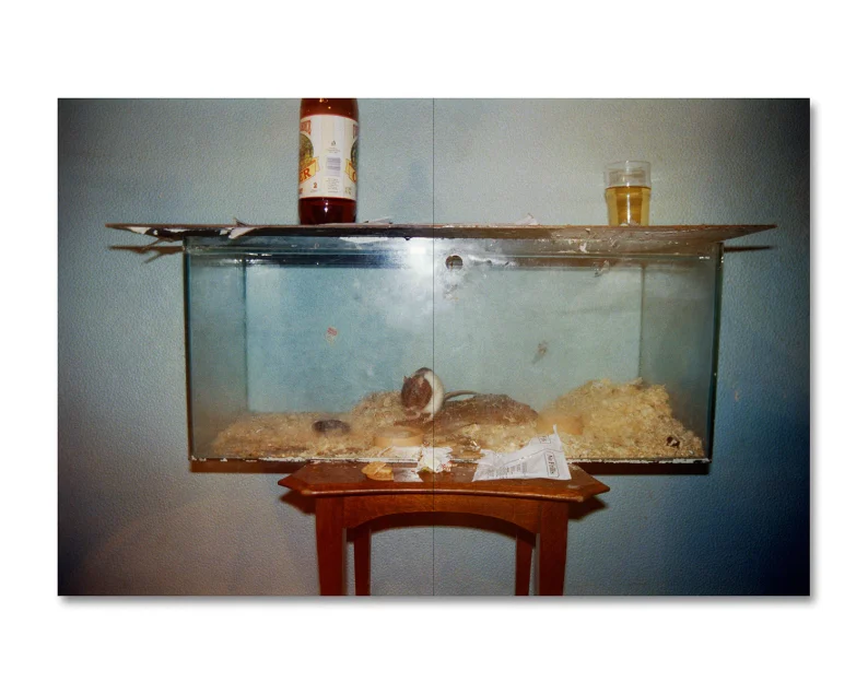 Richard Billingham 'Ray's a Laugh' - Image 33