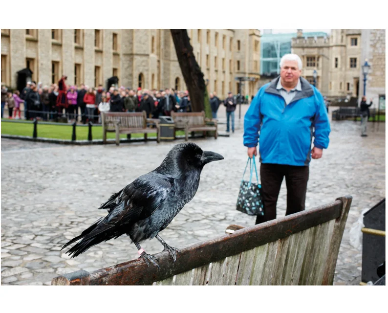 Martin Parr 'Small World' (new revised edition) - Image 7