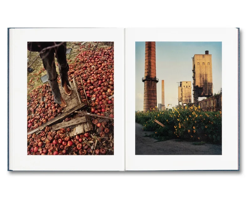 Gregory Halpern 'King, Queen, Knave' (1. printing) - Image 16