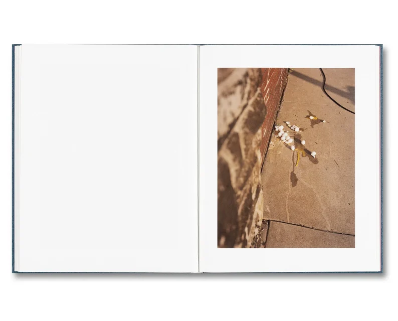 Gregory Halpern 'King, Queen, Knave' (1. printing) - Image 14