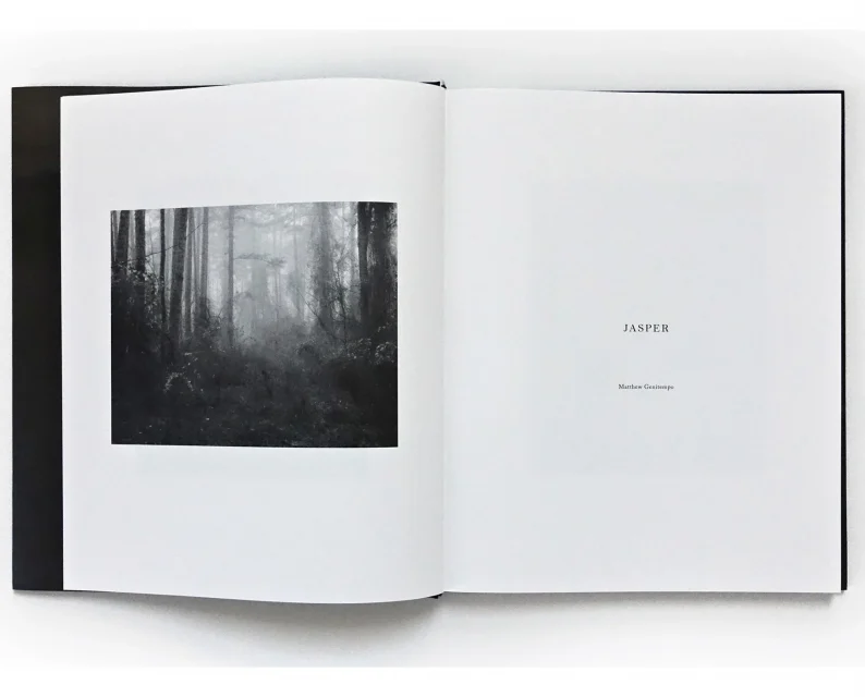 Matthew Genitempo 'Jasper' (2nd. ed.) - Image 3