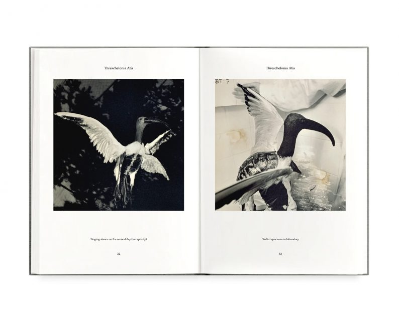 Joan Fontcuberta 'Fauna' (signed) - Image 4