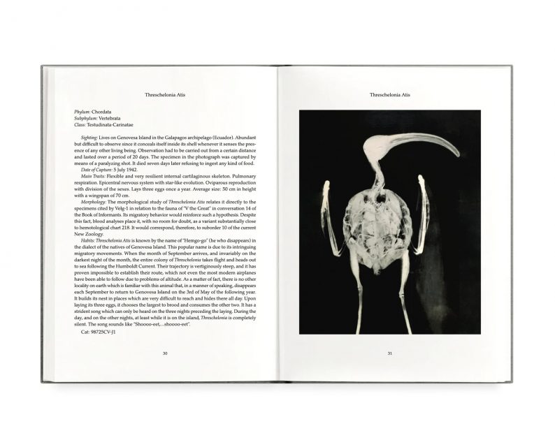 Joan Fontcuberta 'Fauna' (signed) - Image 16