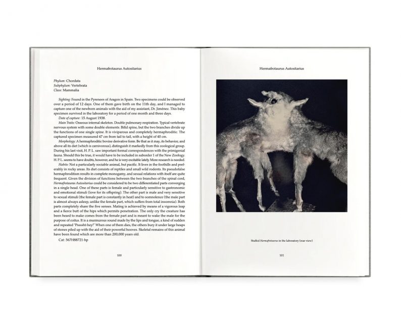 Joan Fontcuberta 'Fauna' (signed) - Image 13