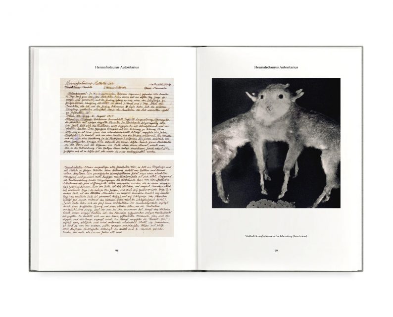 Joan Fontcuberta 'Fauna' (signed) - Image 8